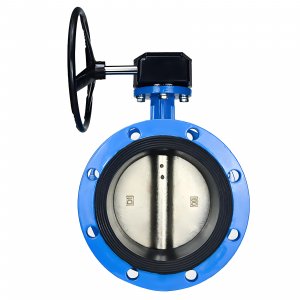 法蘭式蝸輪蝸桿蝶閥DN40，1.6Mpa（橡膠密封